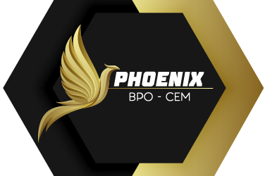 logo web